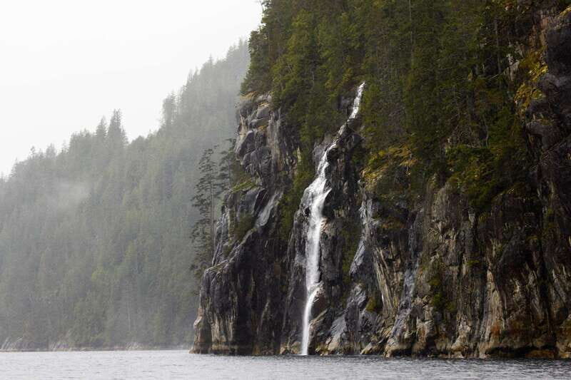 Vancouver Island: Full-Day Grizzly Bear Tour at Toba Inlet - Key things I’d focus on before you go