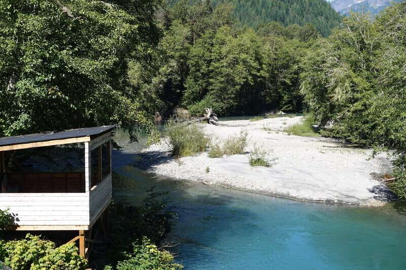Vancouver Island: Full-Day Grizzly Bear Tour at Toba Inlet - Group Size, Timing, and Your Realistic Bear-Day Expectations