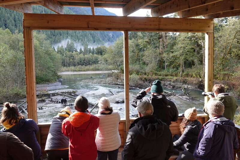 Vancouver Island: Full-Day Grizzly Bear Tour at Toba Inlet - Booking Ahead: How to Plan Around Demand and Weather