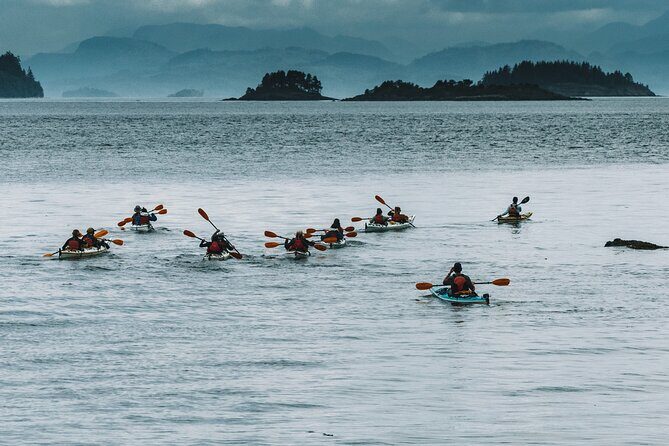 Vancouver Island: Full-Day Kayak Tour from Telegraph Cove - Key things I’d circle before booking