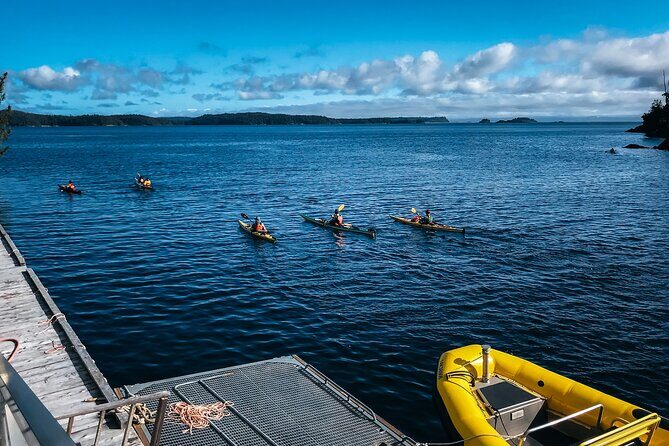 Vancouver Island: Full-Day Kayak Tour from Telegraph Cove - Telegraph Cove and Johnstone Strait: the payoff you’re really buying