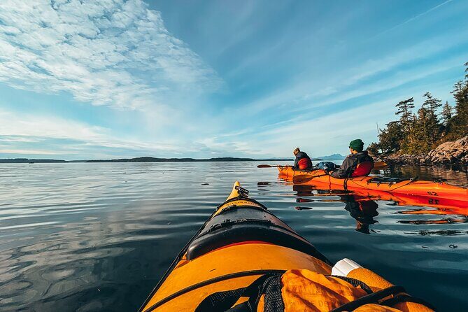Vancouver Island: Full-Day Kayak Tour from Telegraph Cove - Stop 2: Johnstone Strait paddling through tides, shallows, and eagle nests