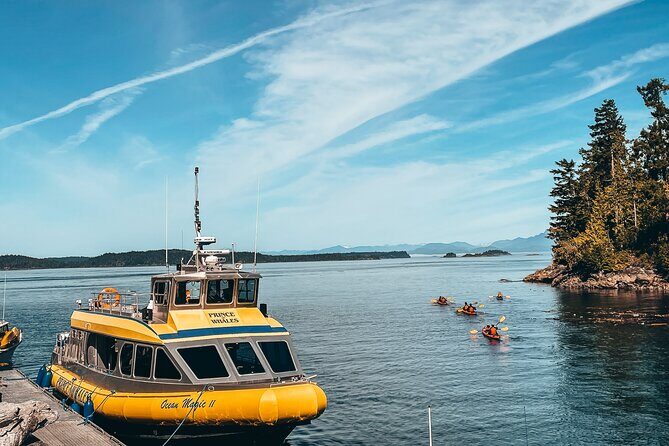 Vancouver Island: Full-Day Kayak Tour from Telegraph Cove - Lunch break on a remote beach: plan like snacks matter