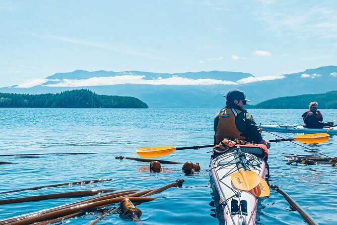 Vancouver Island: Full-Day Kayak Tour from Telegraph Cove - Stop 1: Telegraph Cove launch and the first stretch of shoreline