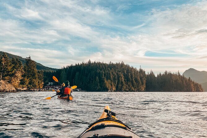 Vancouver Island: Half-Day Kayak Tour from Telegraph Cove - Key highlights you’ll care about