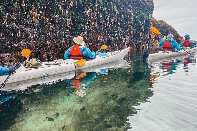 Vancouver Island: Half-Day Kayak Tour from Telegraph Cove - Wildlife spotting without the chaos: how your guide shapes the day