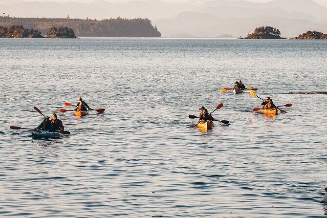 Vancouver Island: Half-Day Kayak Tour from Telegraph Cove - Meeting at Telegraph Cove: what to know before you step in
