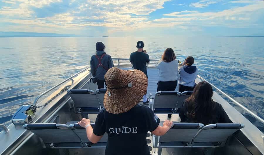 Vancouver Island: Spring Bears and Whales Full-Day Tour - Spring Bears and Whales on Vancouver Island: What Makes This Day Special