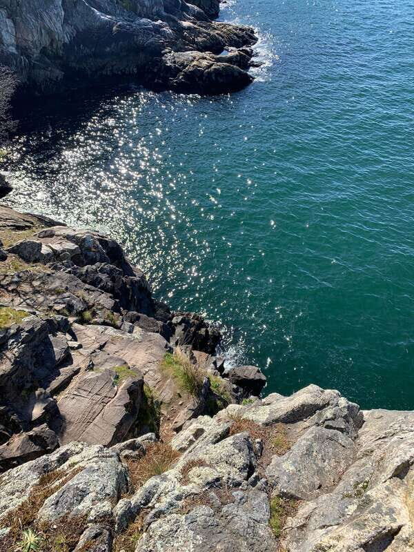 Vancouver: Lighthouse Park Hike - Key things to know before you go