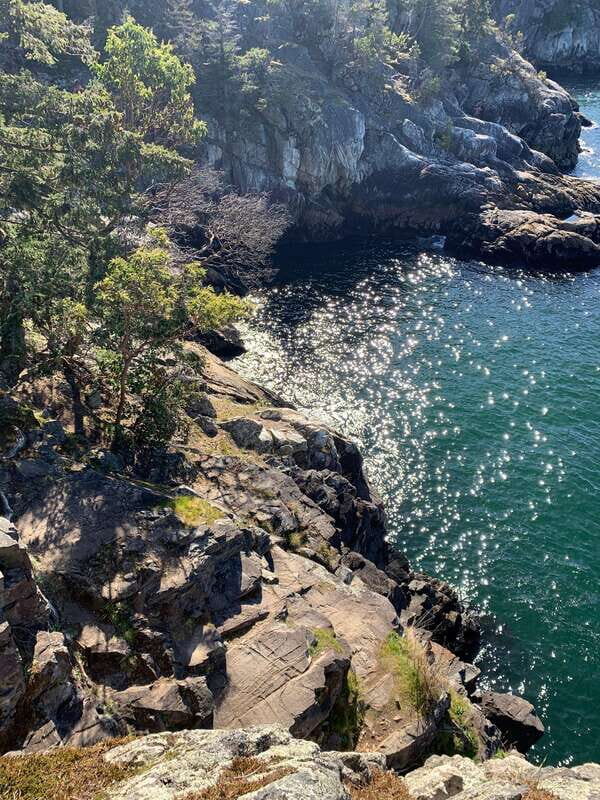 Vancouver: Lighthouse Park Hike - Door-to-door pickup with big-view scenery on the way out