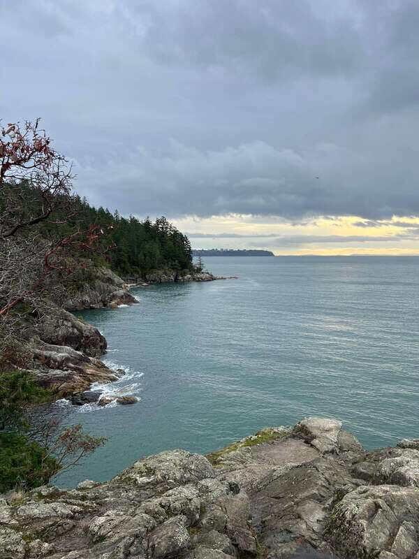 Vancouver: Lighthouse Park Hike - How guide Adrian turns a trail walk into a morning story