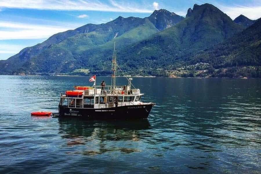 Vancouver: Morning Kayak & Seal Cruise - Why Howe Sound Works So Well for a Morning Kayak