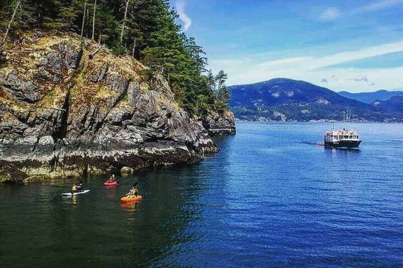 Vancouver: Morning Kayak & Seal Cruise - Who This Tour Fits Best (and Who Should Skip It)