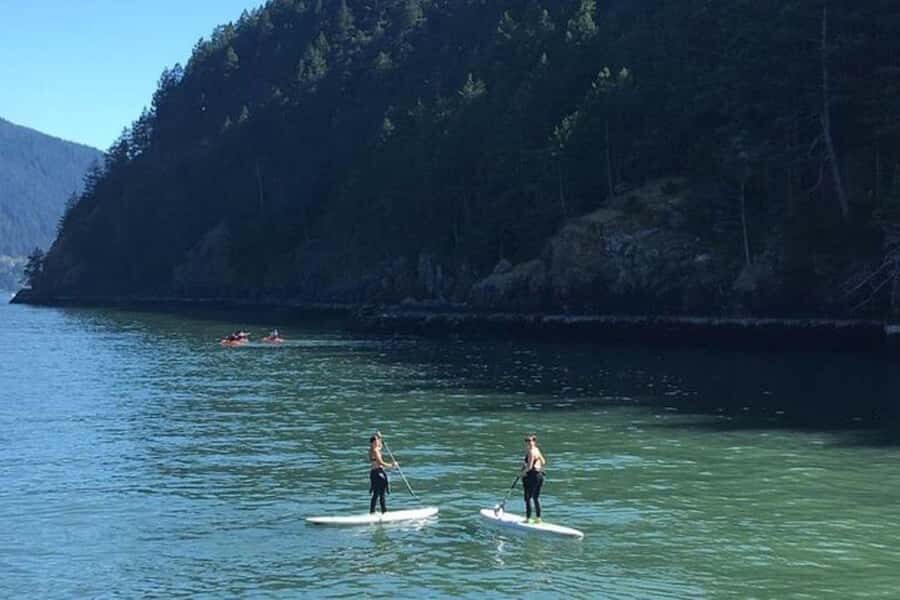 Vancouver: Morning Kayak & Seal Cruise - Horseshoe Bay to a Custom 40-Foot Tour Boat: The Start That Sets the Tone