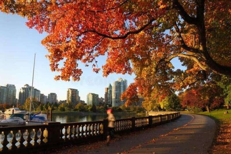 Vancouver : Must-See Attractions Walking Tour With A Guide - Granville Island: Market Energy and the Right Amount of Free Time
