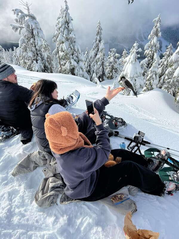 Vancouver: North Shore Mountains Snowshoeing with Transfer - What the 4.5-Hour Tour Actually Includes (and How the Day Flows)