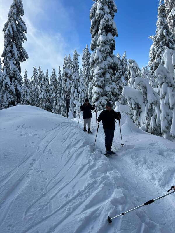 Vancouver: North Shore Mountains Snowshoeing with Transfer - Guide and Small Group: Why the Pacing Feels Better