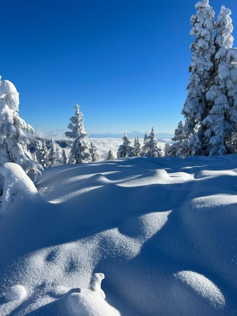 Vancouver: North Shore Mountains Snowshoeing with Transfer - What to Bring (and How to Dress for Rain or Shine)