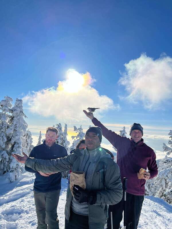 Vancouver: North Shore Mountains Snowshoeing with Transfer - Who This Snowshoeing Tour Fits Best