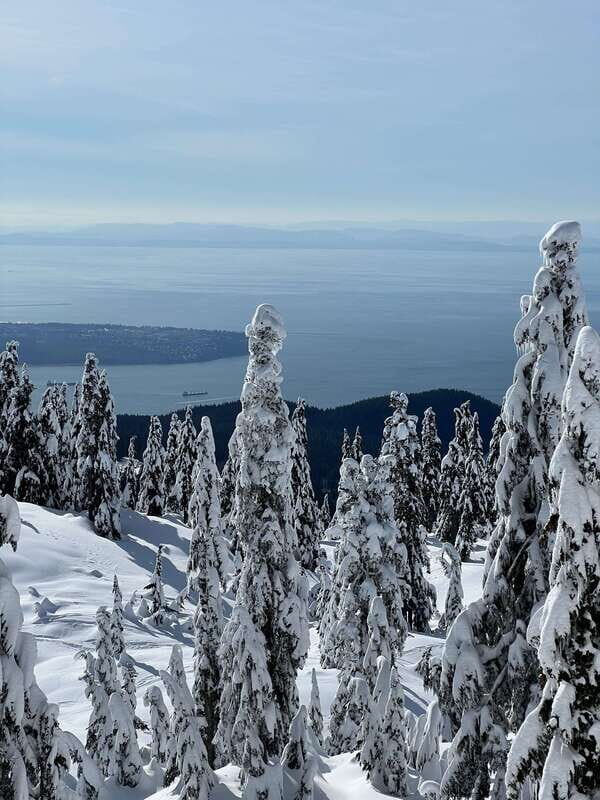 Vancouver: North Shore Mountains Snowshoeing with Transfer - Trails, Views, and the North Shore Winter Feel
