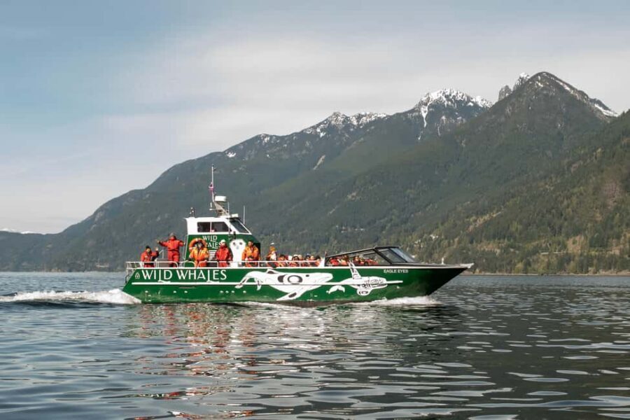 Vancouver: Open-air Whale Watching Tour, Granville Island - Eagle Eyes Whale Watching: Quick Win for Views and Learning