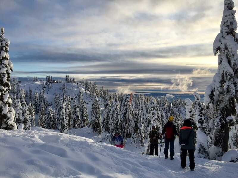 Vancouver: Panoramic View Hiking Tour - Price and value: $171 for convenience plus a guide