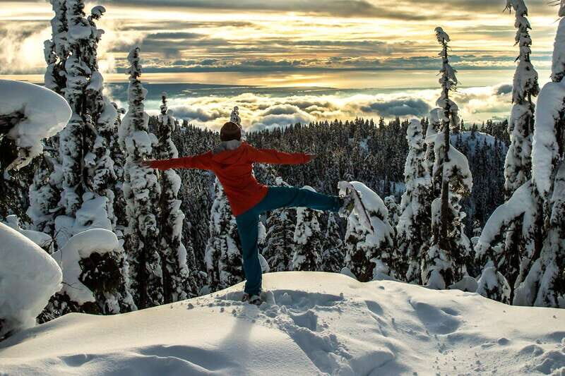 Vancouver: Panoramic View Hiking Tour - The forested hike: steady, scenic, and photo-friendly