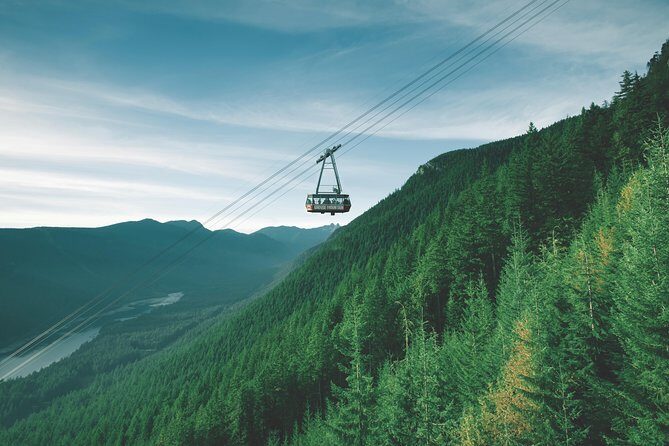 Vancouver Premium Tour: Capilano Bridge + Grouse Mountain Lunch - Pickup and comfort: the stress reducers you’ll notice early