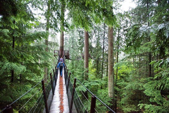 Vancouver Premium Tour: Capilano Bridge + Grouse Mountain Lunch - Capilano Suspension Bridge Park: the wobbly highlight (with the right shoes)