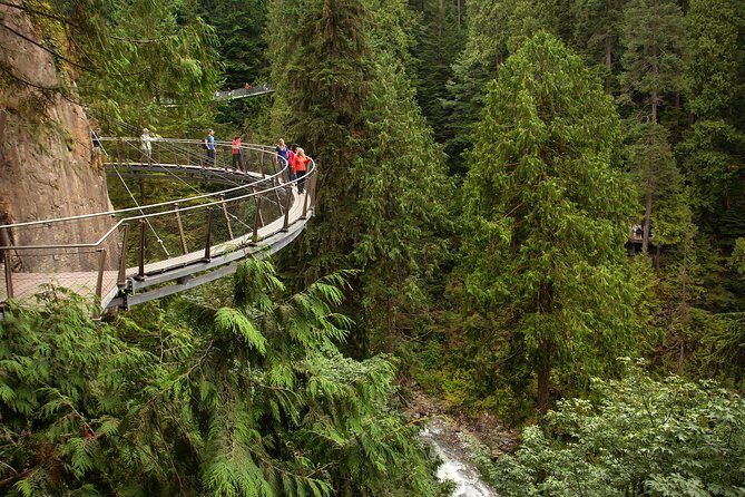 Vancouver Premium Tour: Capilano Bridge + Grouse Mountain Lunch - Grouse Mountain Skyride, Wildlife Refuge, and Altitudes Bistro lunch