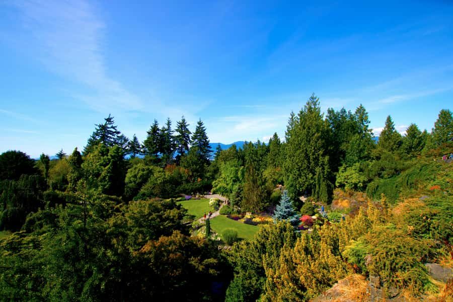 Vancouver: Private City Sights Tour by Minibus (3hrs) - Queen Elizabeth Park’s Quarry and Rose Gardens With Skyline Views