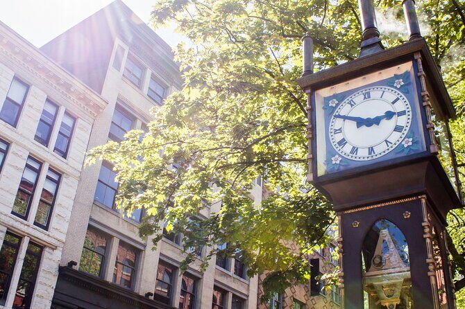 Vancouver: Private & Custom Half-Day Tour with a Local - Kitsilano Beach: your ending that feels like a reward