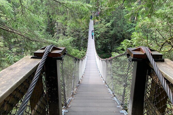 Vancouver Rainforest Hike with Waterfalls, Suspension Bridge, Old Growth Forest - A rainforest hike that feels close to the city