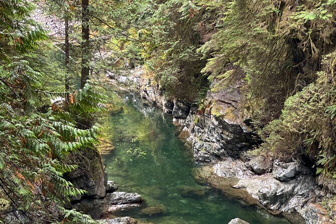 Vancouver Rainforest Hike with Waterfalls, Suspension Bridge, Old Growth Forest - Stop 2: Lynn Canyon Park, Twin Falls, and old-growth trails