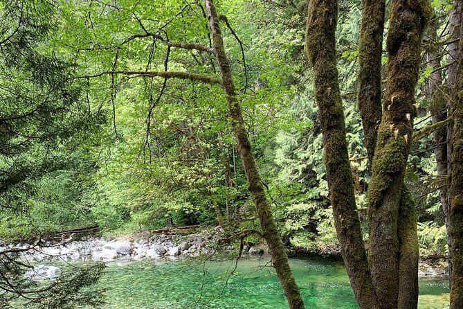 Vancouver Rainforest Hike with Waterfalls, Suspension Bridge, Old Growth Forest - The natural swimming pool: worth planning around