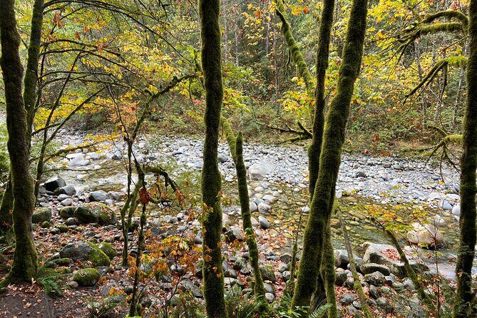Vancouver Rainforest Hike with Waterfalls, Suspension Bridge, Old Growth Forest - The hike level: moderate fitness, lots of stairs, real effort