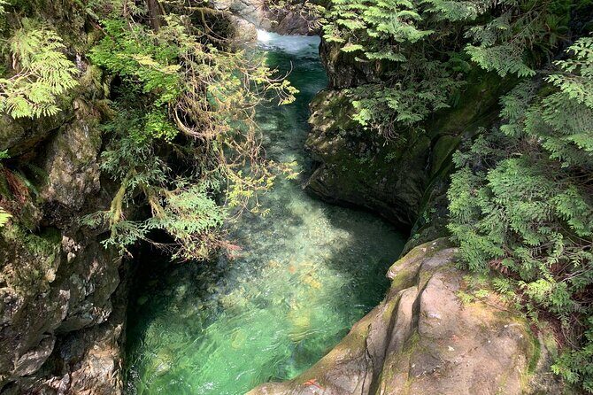 Vancouver Rainforest Hike with Waterfalls, Suspension Bridge, Old Growth Forest - What makes Adrian’s guiding style a practical advantage