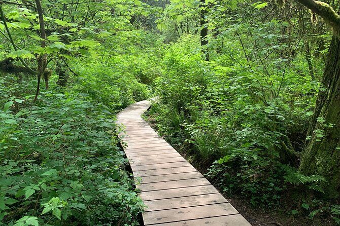 Vancouver Rainforest Hike with Waterfalls, Suspension Bridge, Old Growth Forest - Stop 1: Lynn Canyon Suspension Bridge and the canyon’s power