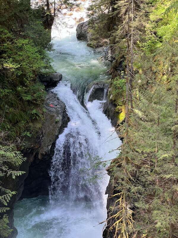Vancouver: Rainforest Waterfall Hike and Suspension Bridge - Who This Tour Fits Best (and Who Should Skip It)