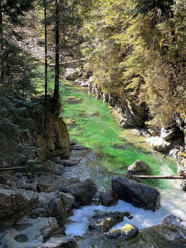 Vancouver: Rainforest Waterfall Hike and Suspension Bridge - Vancouver Rainforest Hike and Suspension Bridge: The Quick Why