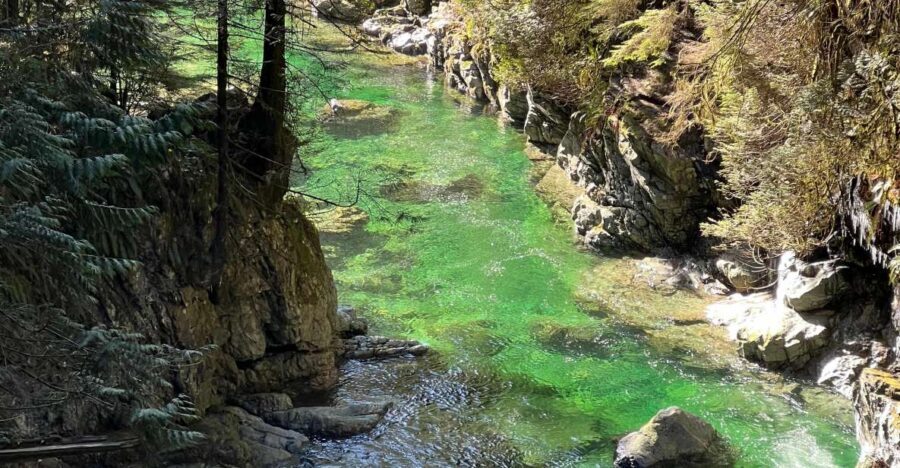 Vancouver: Rainforest Waterfall Hike and Suspension Bridge - Price and Value: Is $62 Worth It?