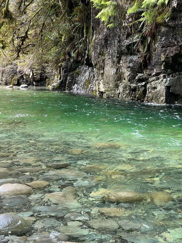 Vancouver: Rainforest Waterfall Hike and Suspension Bridge - Getting Started With Hotel Pickup and a Small-Group Drive