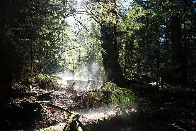 Vancouver Secrets of Stanley Park Walking Tour - Price and value: what $29.29 buys you in Stanley Park