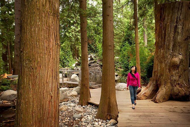 Vancouver Sightseeing and Suspension Bridge Small Group Tour - Stanley Park in 40 minutes: sea, forest, and first impressions