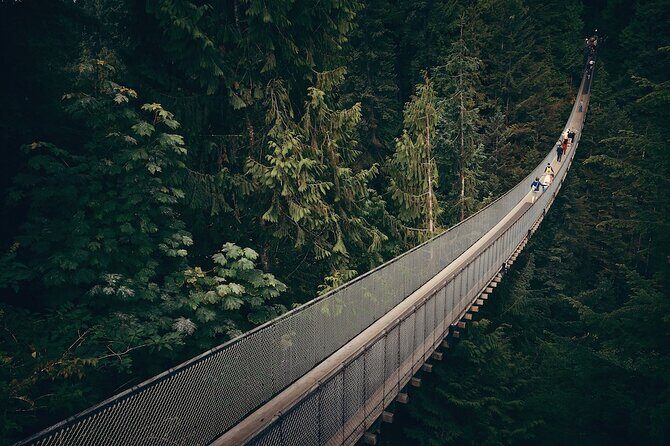 Vancouver Small Group Night Tour w/Capilano + Grouse Mtn Dinner - Stanley Park and Gastown: the city in motion