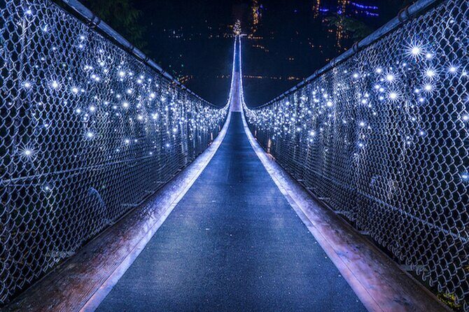 Vancouver Small Group Night Tour w/Capilano + Grouse Mtn Dinner - Who this tour fits best