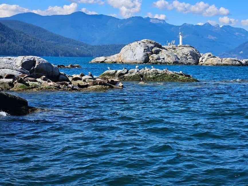Vancouver: Snorkel, Kayak, and Seal Adventure Boat Tour - Getting to Sea Dragon Expedition Centre in Horseshoe Bay