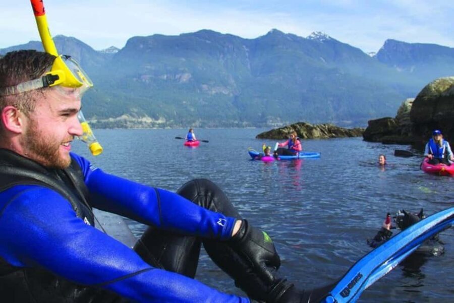 Vancouver: Snorkel, Kayak, and Seal Adventure Boat Tour - Gear-up and safety: what you get, and what you need to do