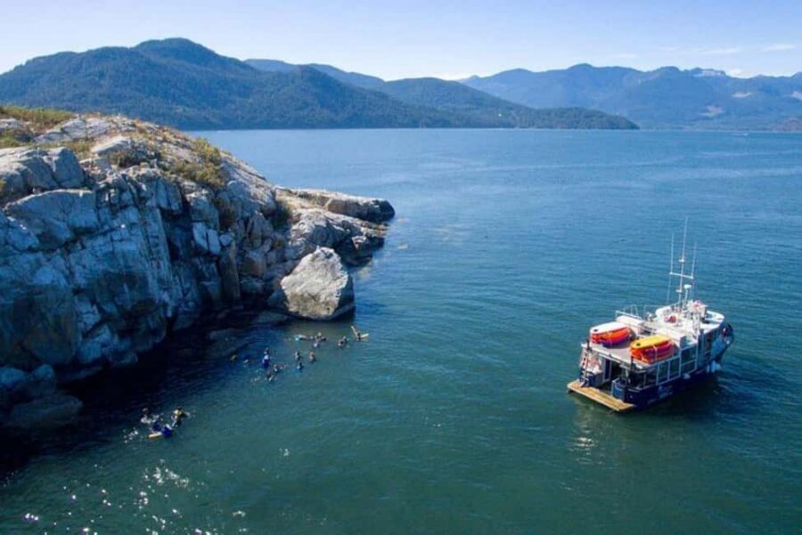 Vancouver: Snorkel, Kayak, and Seal Adventure Boat Tour - Value check: is $116 for 5 hours a good deal?