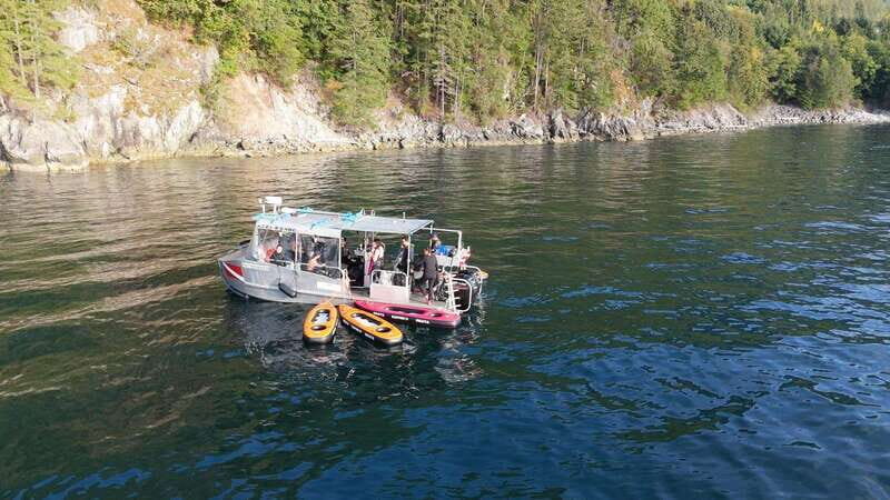 Vancouver: Snorkeling Seals Kayaking Scenic Boat Tour - Safety and Rules: What Keeps This Fun Without Causing Problems